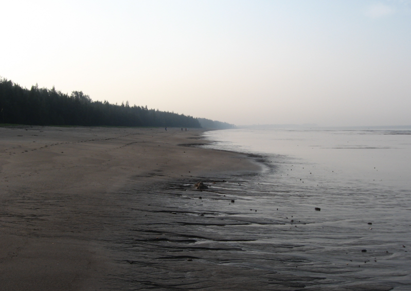 Nargol Beach
